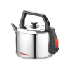 Qasa 4.1L Electric Kettle for boiling water